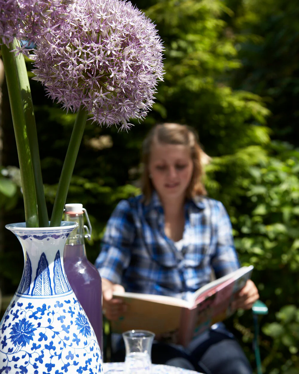 Allium 'Round 'n' Purple' - Image 4