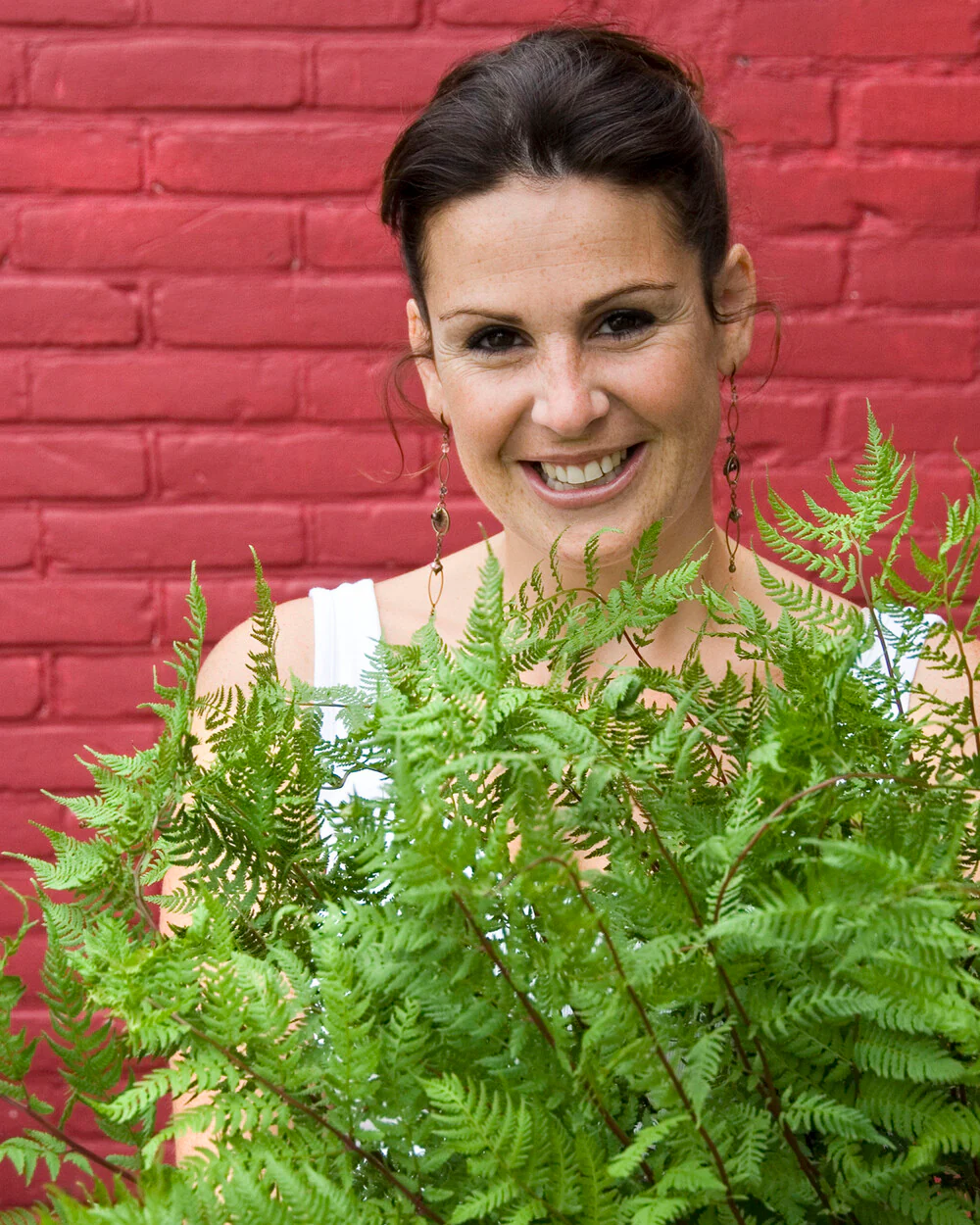 Athyrium 'Lady in Red' - Image 4