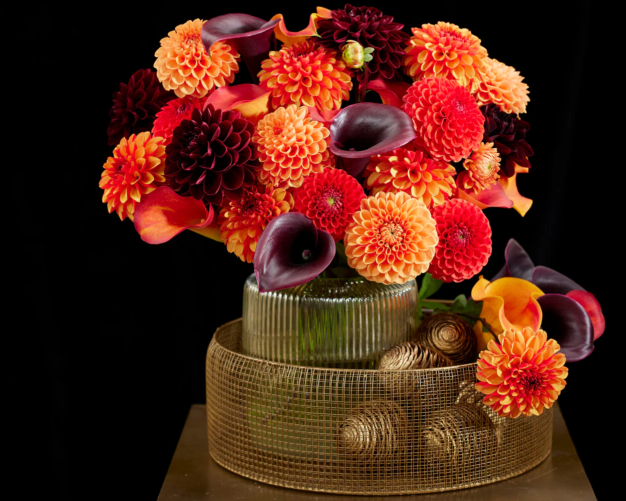 Dahlia 'American Sunset' - Image 5