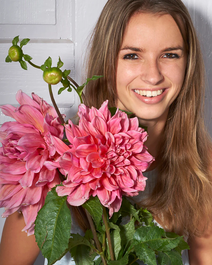 Dahlia 'Emory Paul' - Image 2