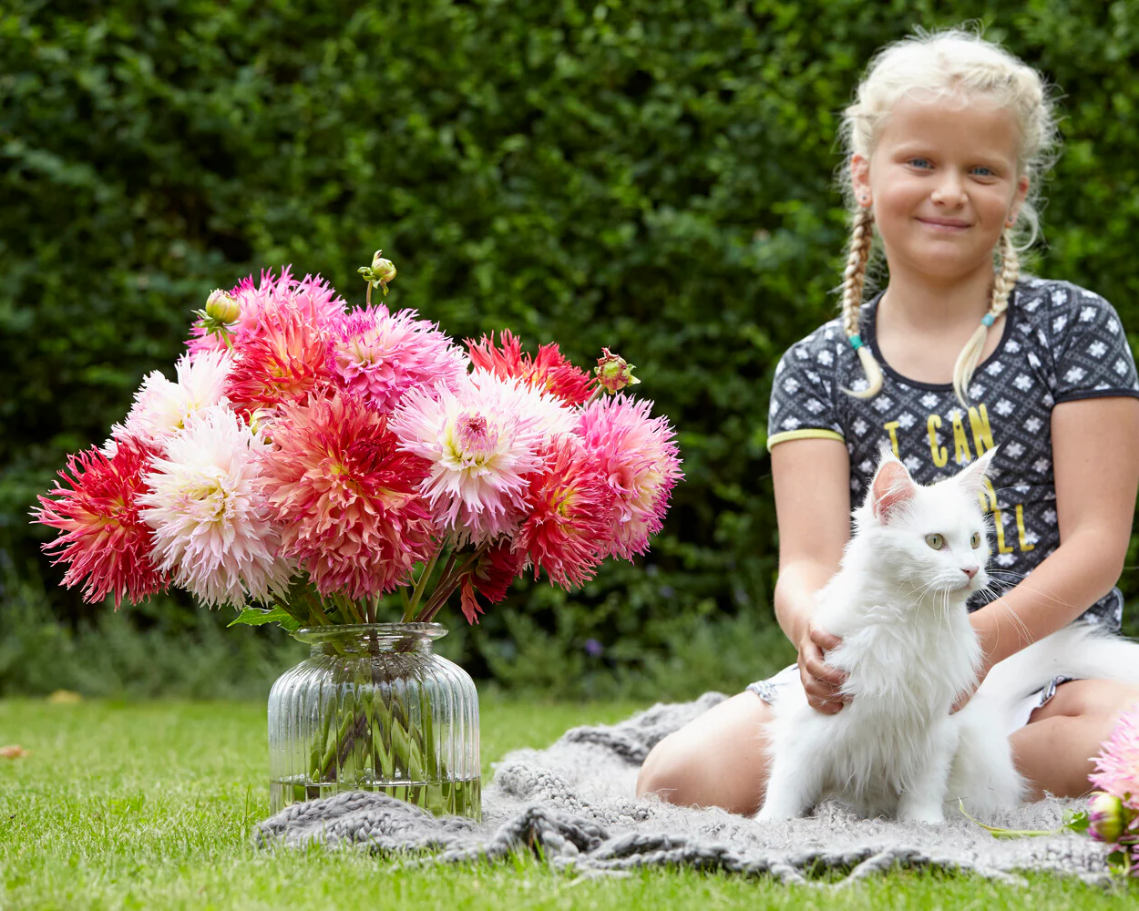 Dahlia 'Nadia Ruth' - Image 5
