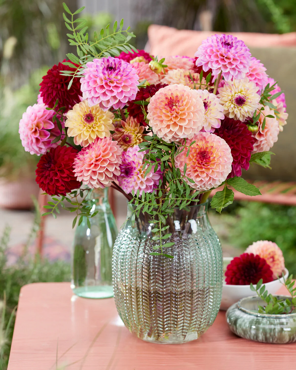 Dahlia 'Wine Eyed Jill' - Image 7