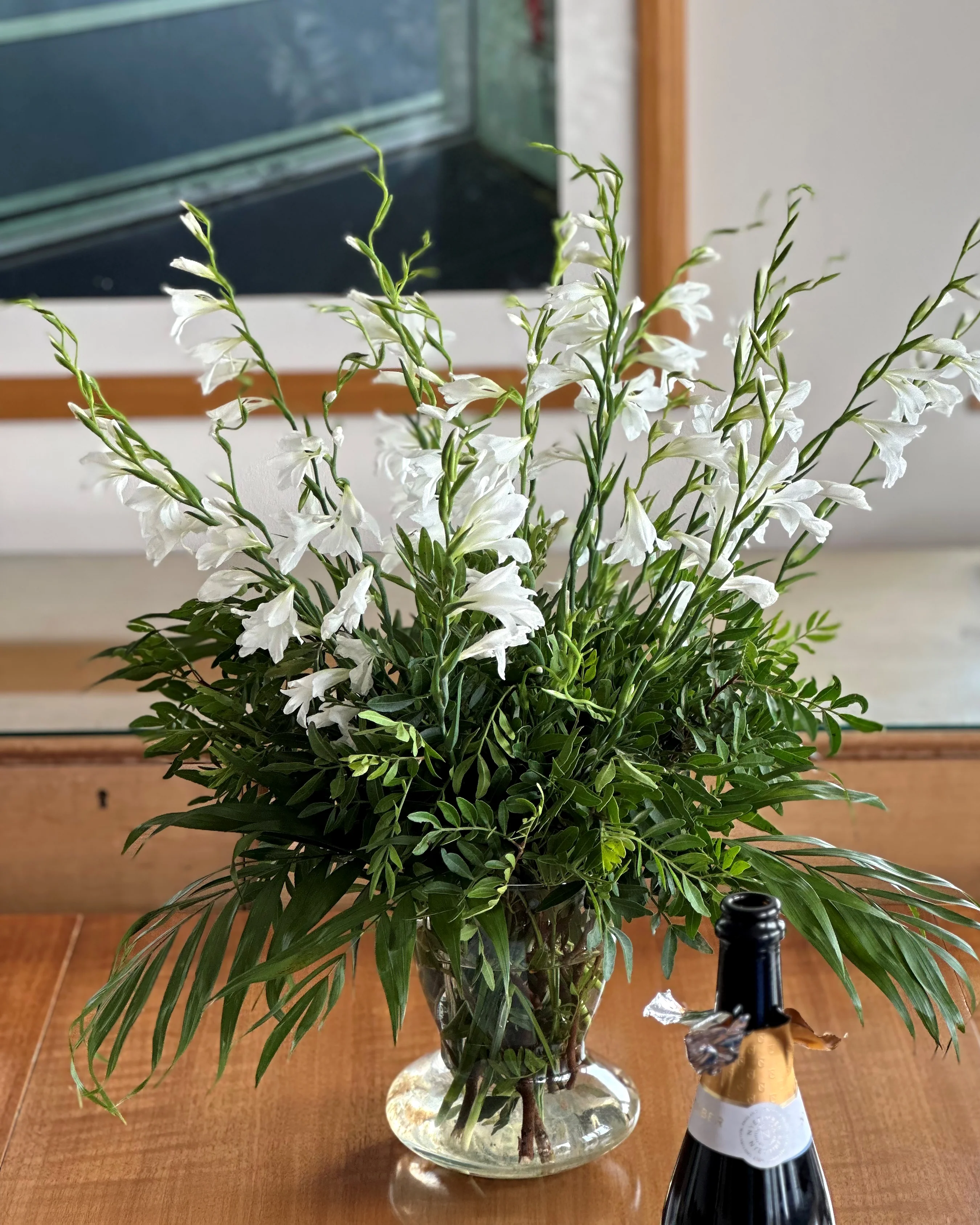 Gladiolus byzantinus 'White' - Image 2