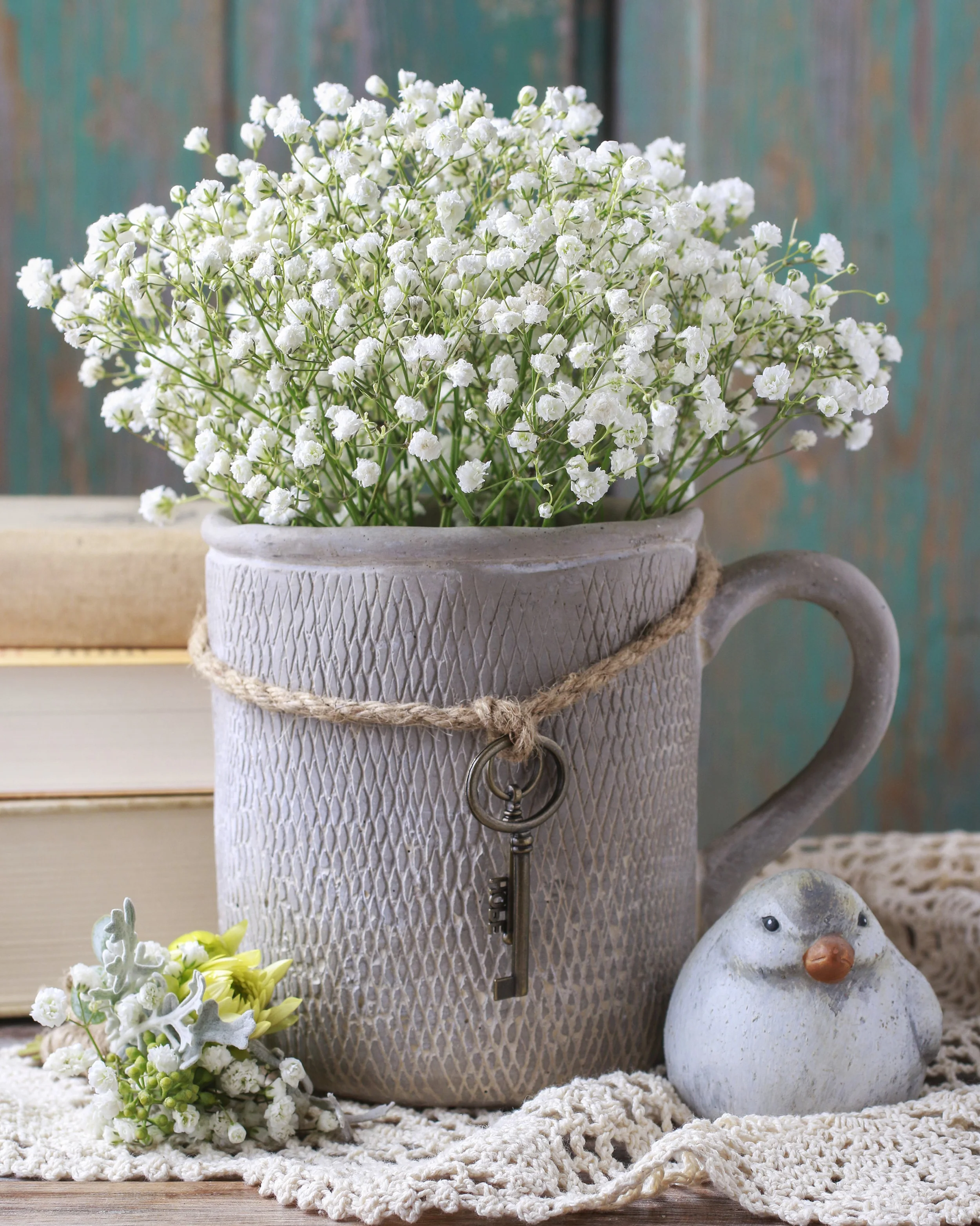 Gypsophila paniculata - Image 9