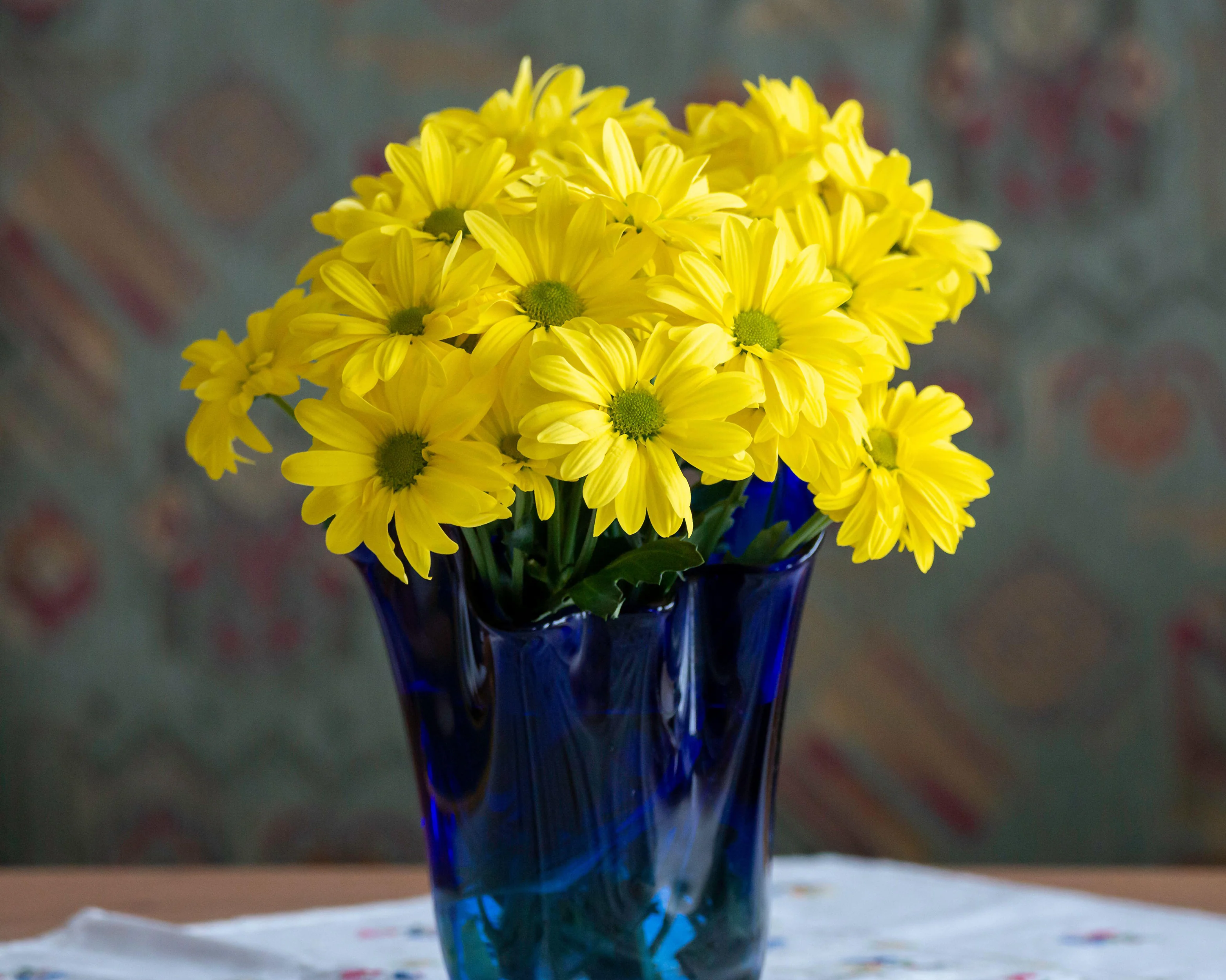Heliopsis 'Loraine Sunshine' - Image 5