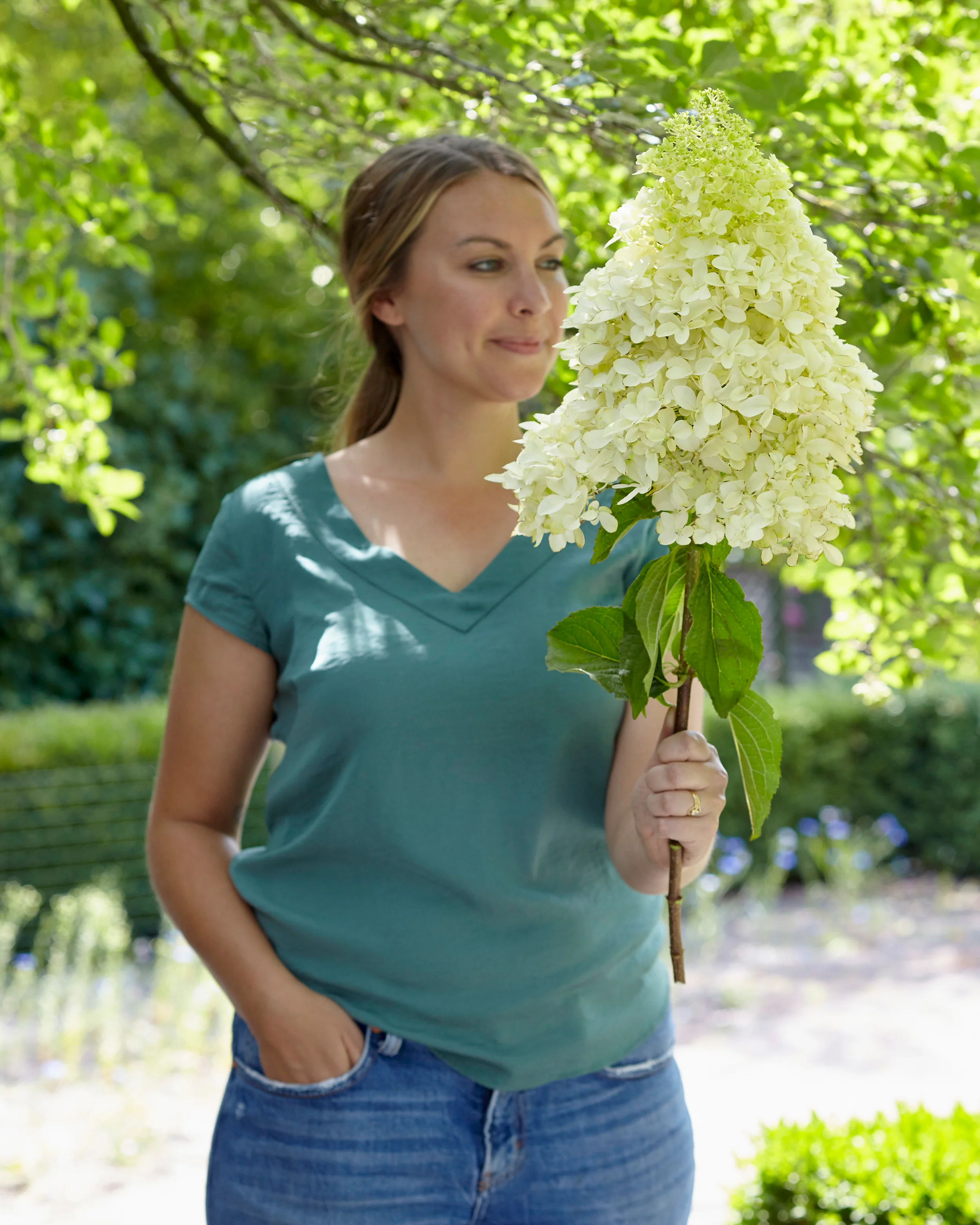Hydrangea 'Skyfall' - Image 18