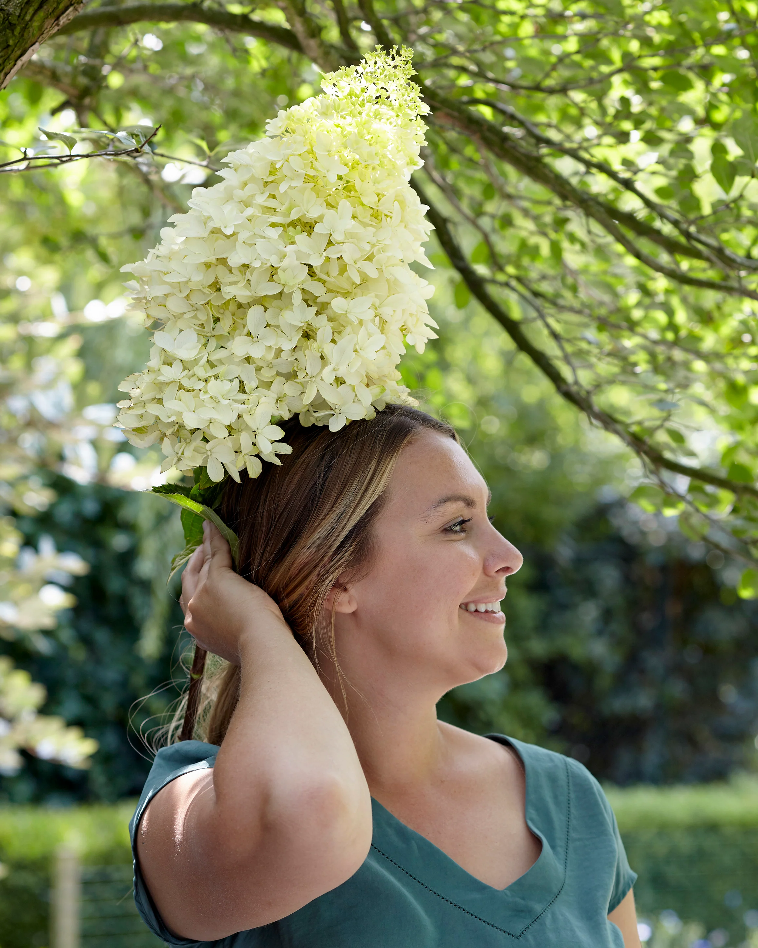Hydrangea 'Skyfall' - Image 9