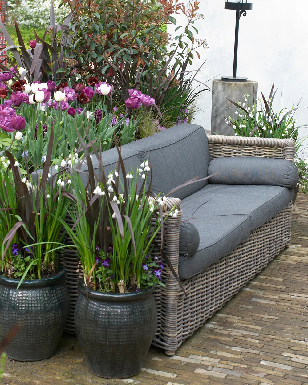 Leucojum forcing bulbs - Image 10