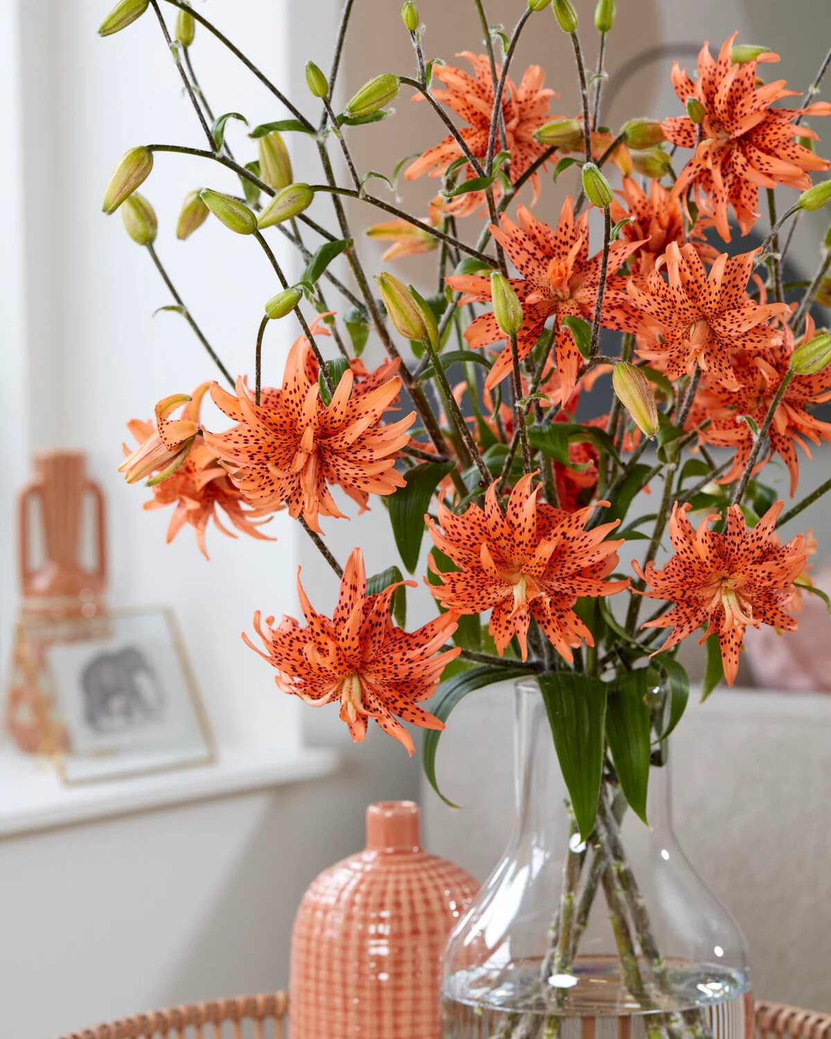 Lily 'Flore Pleno' - Image 8