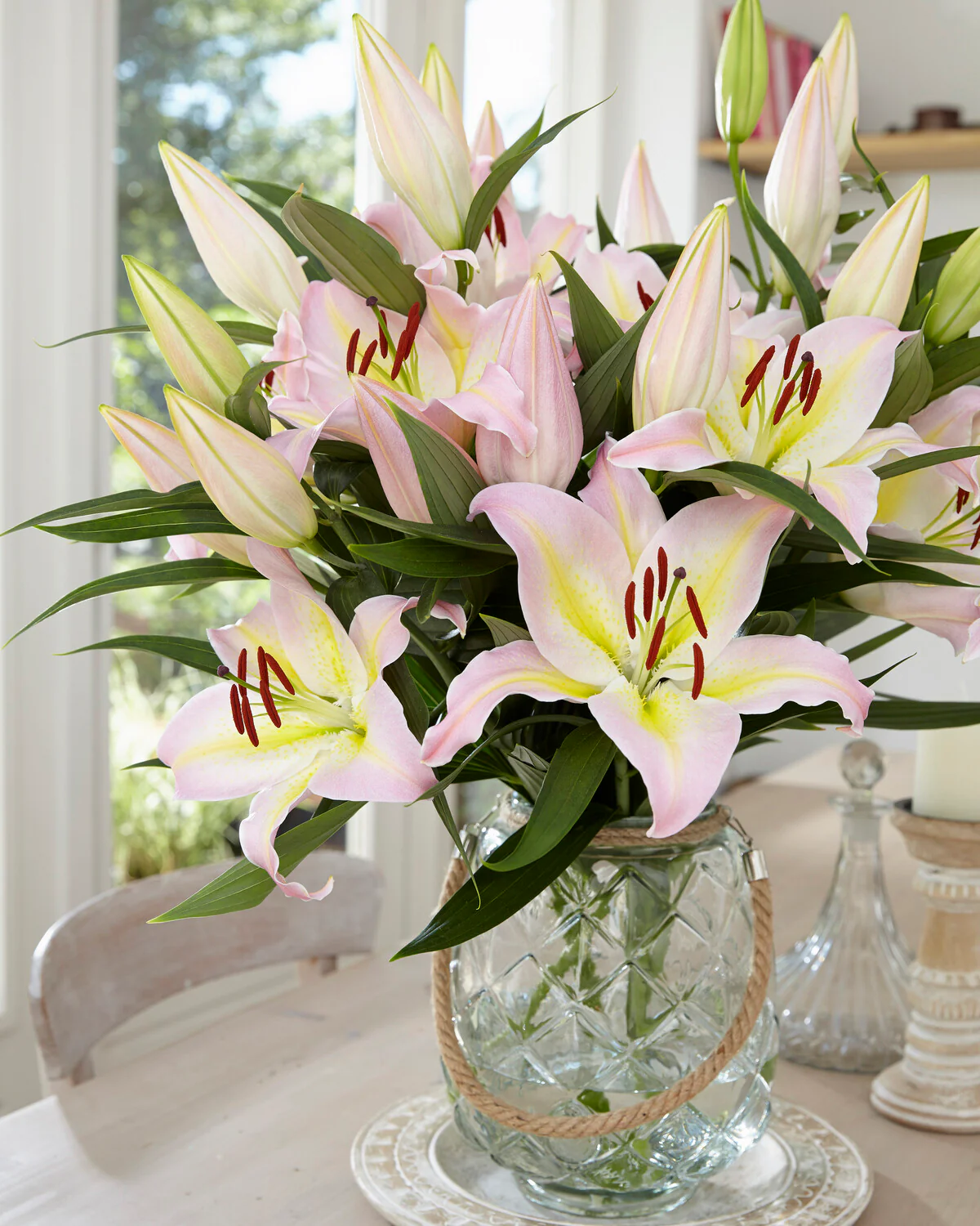 Lily 'Hocus Pocus' - Image 3
