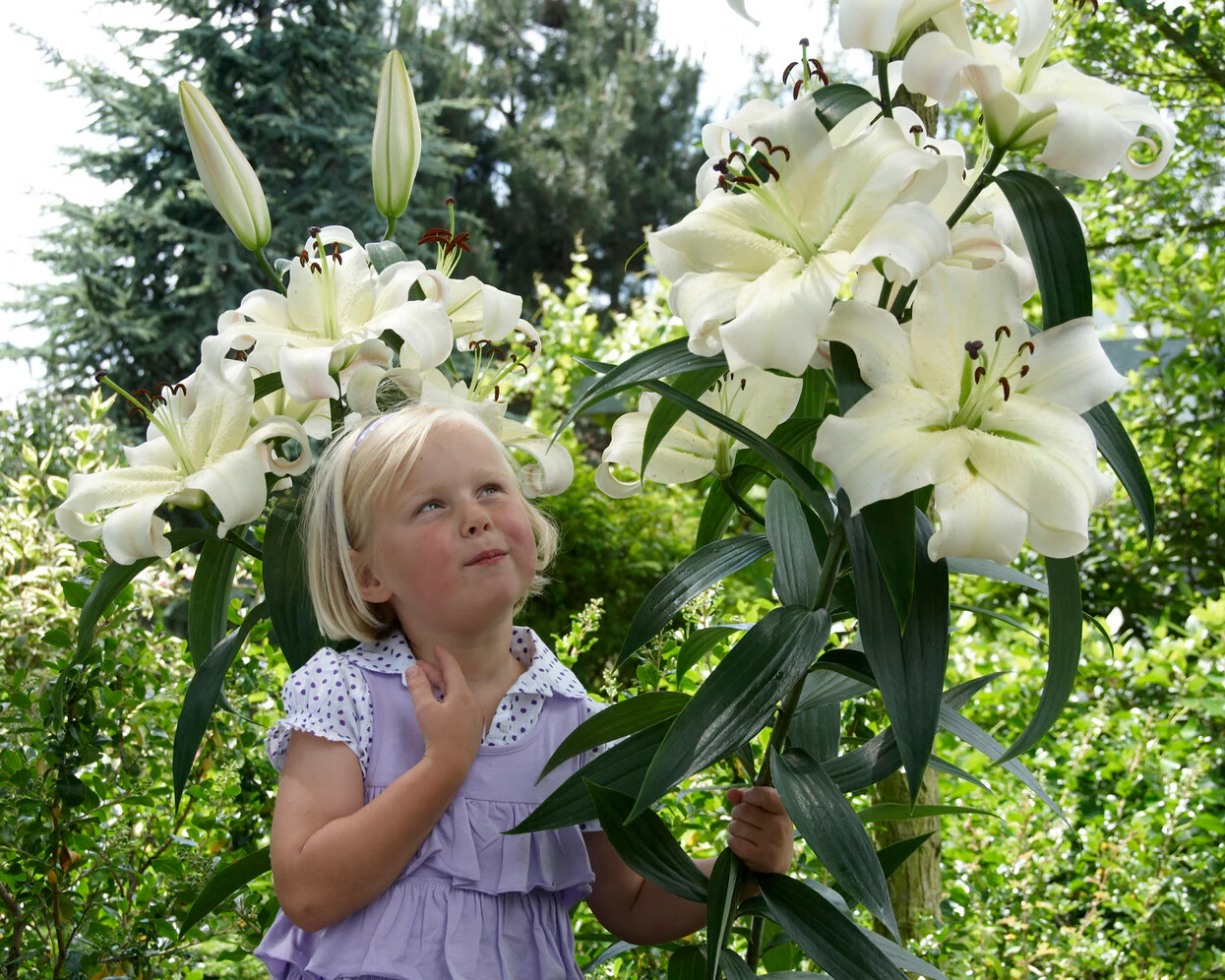 Lily 'Pretty Woman' - Image 5