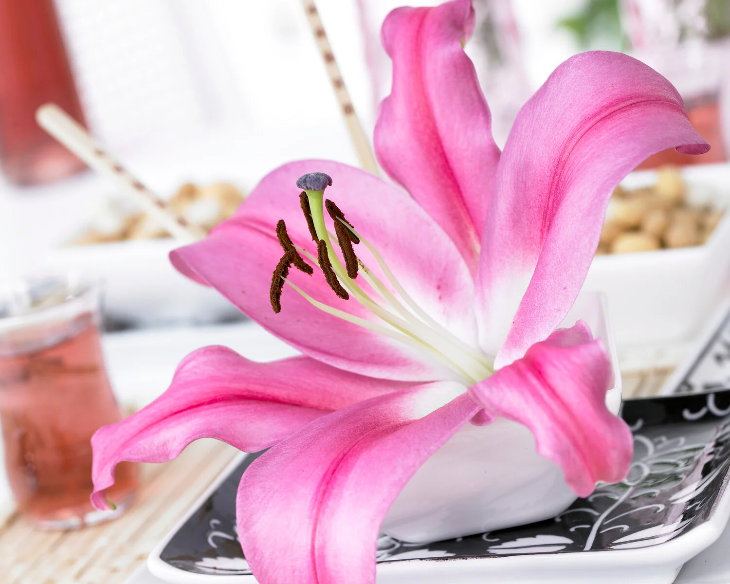 Lily 'Robina' - Image 4