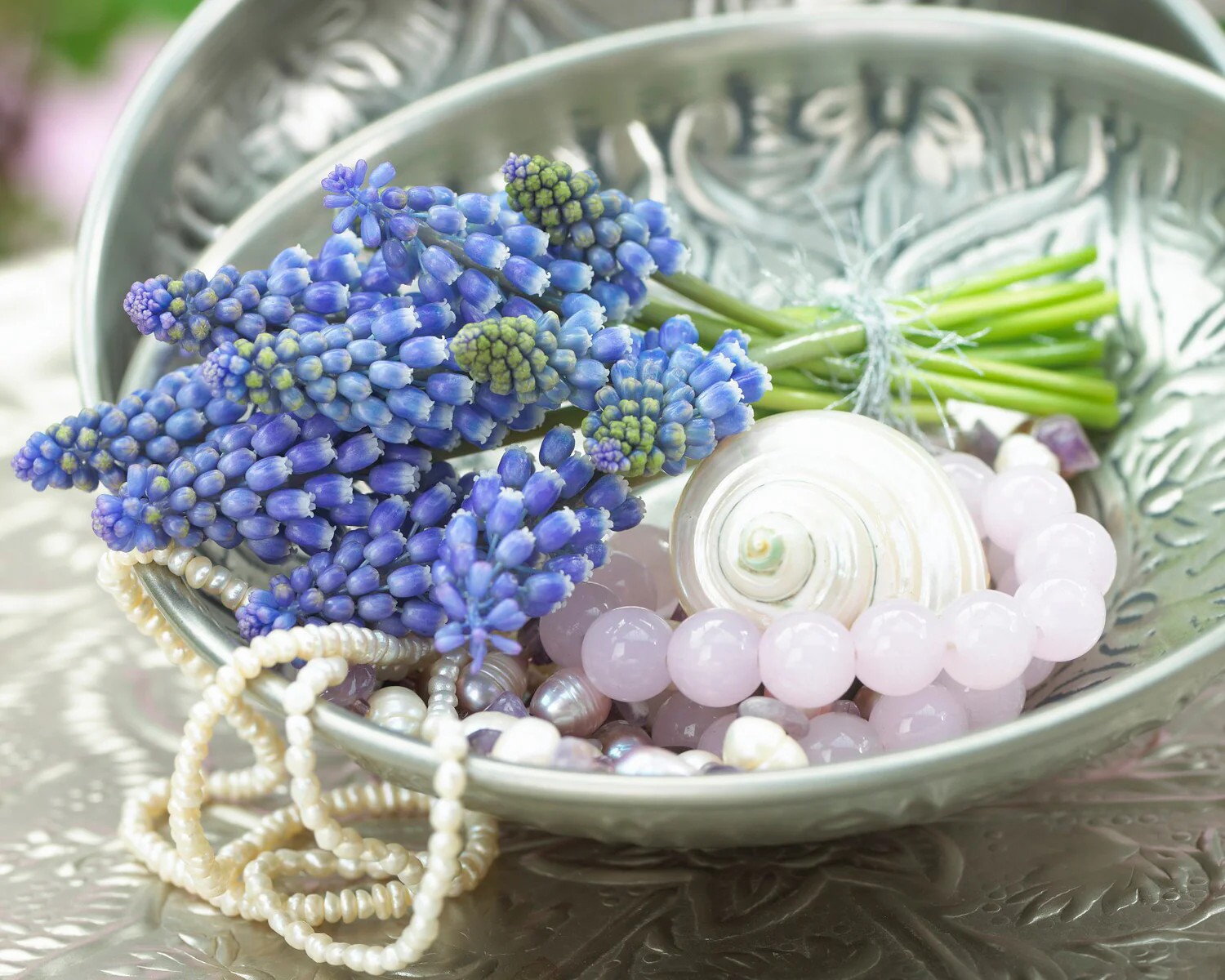 Muscari 'Bling Bling' - Image 8