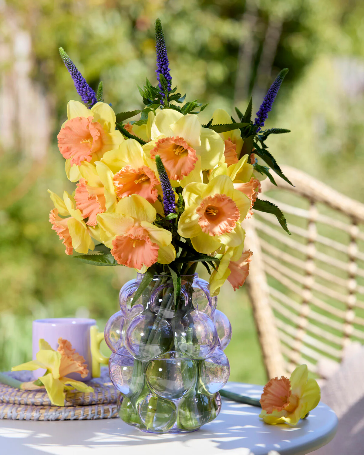 Narcissus 'Colour Magic' - Image 8