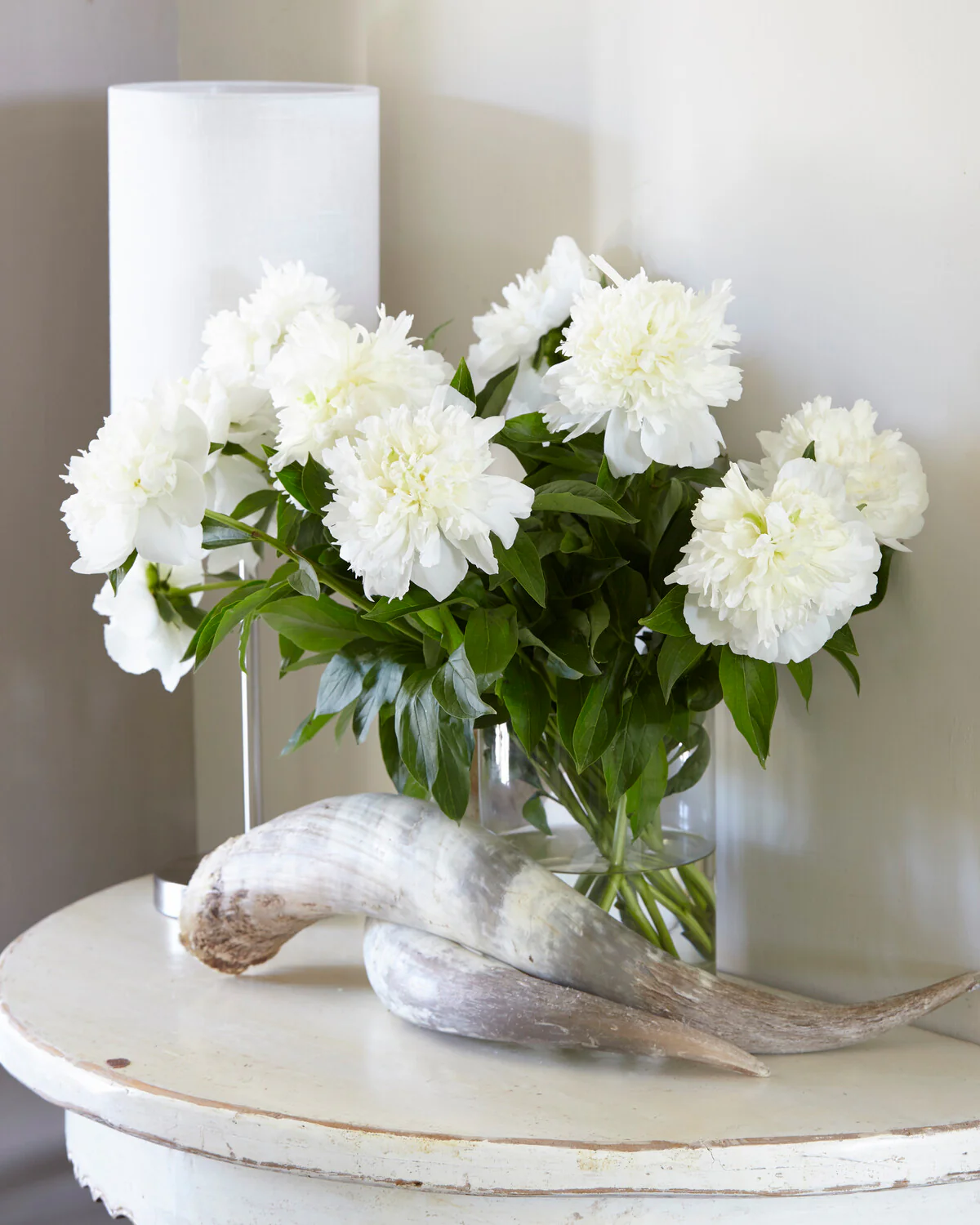 Paeonia 'Bridal Shower' - Image 3