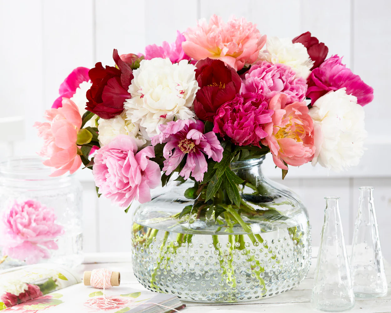 Peony collection 'Colourburst' - Image 4