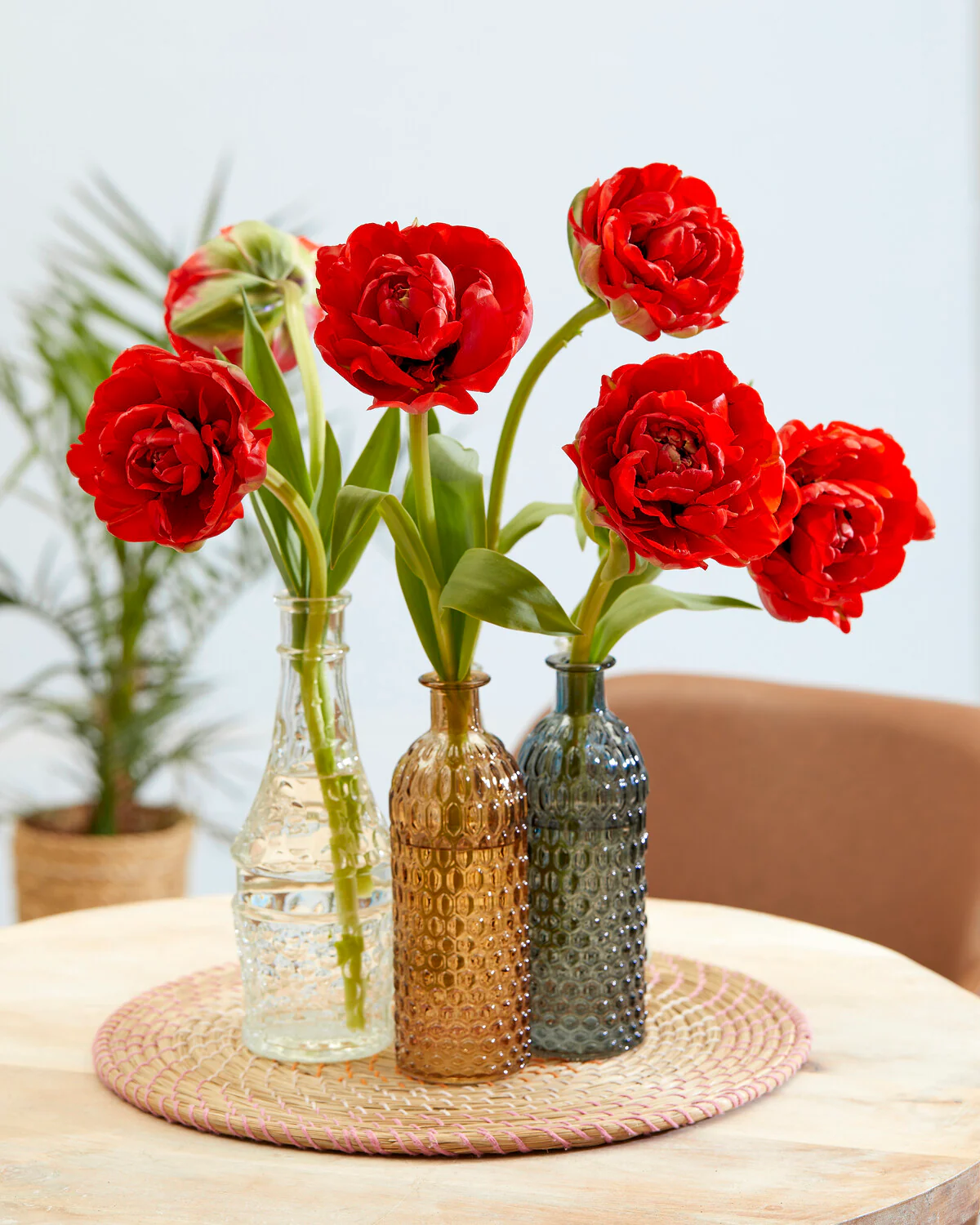 Tulip 'Bombastic Red' - Image 12