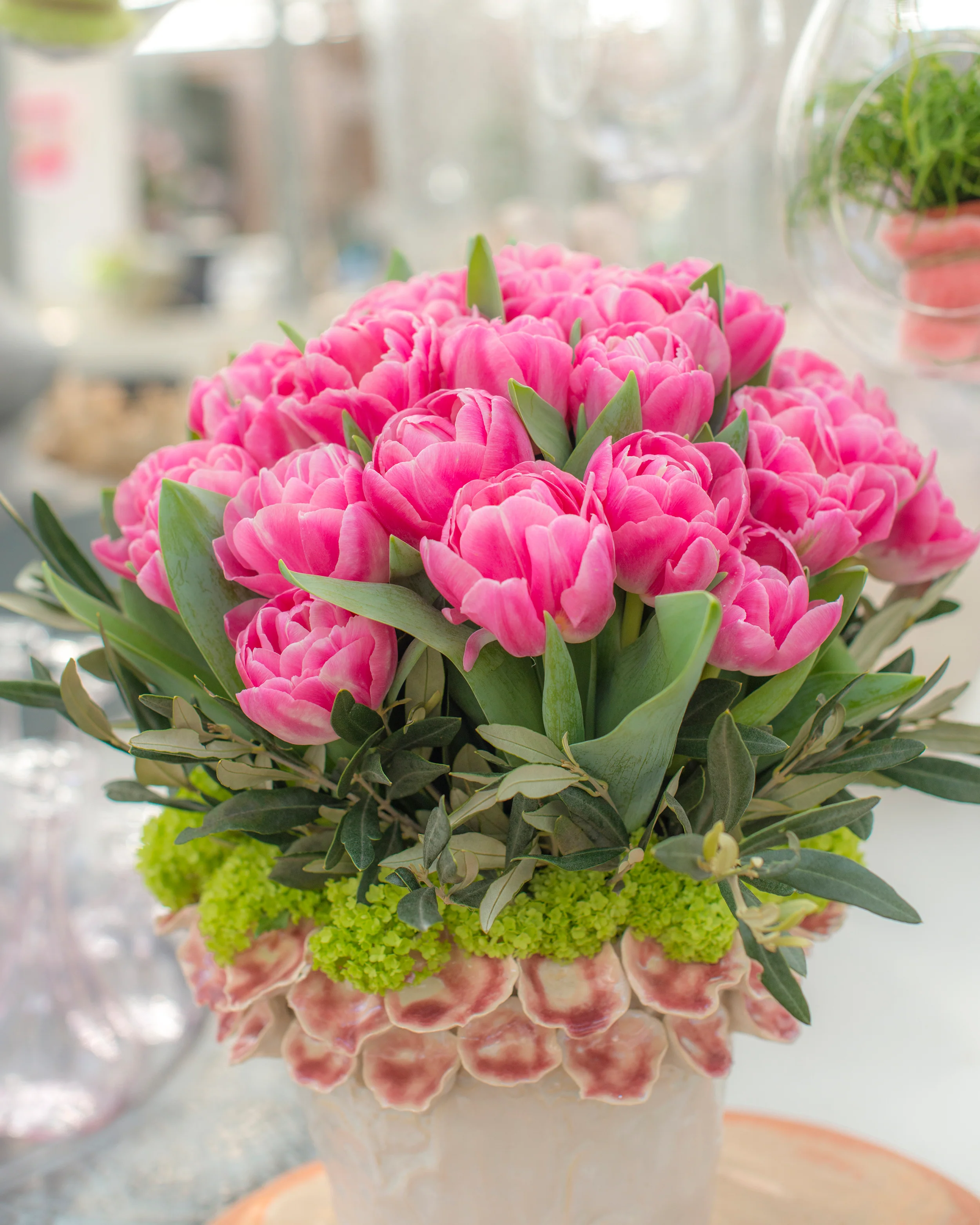 Tulip 'Vogue' - Image 10